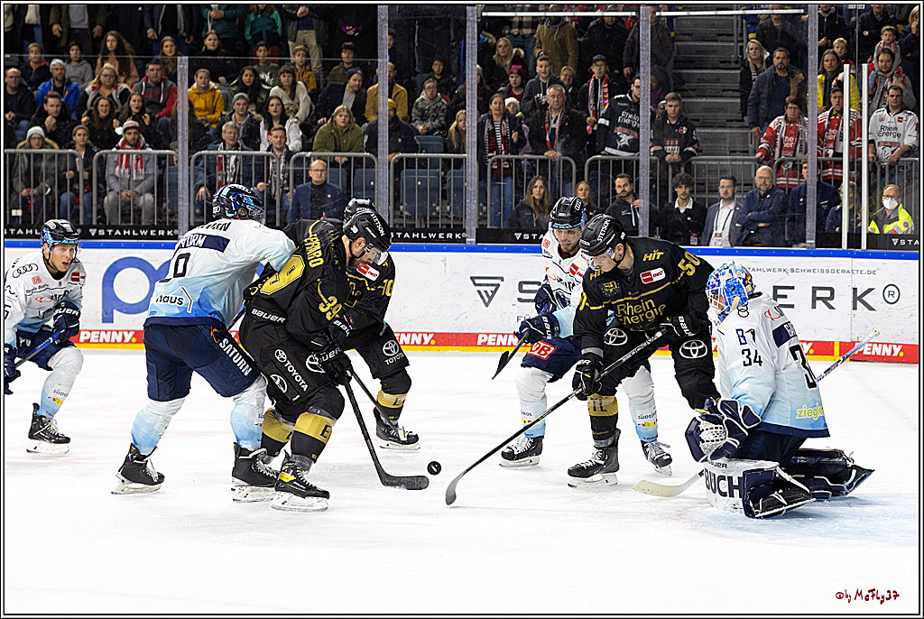 PENNY DEL;  Kölner Haie - ERC Ingolstadt; Köln, 25.11.2022